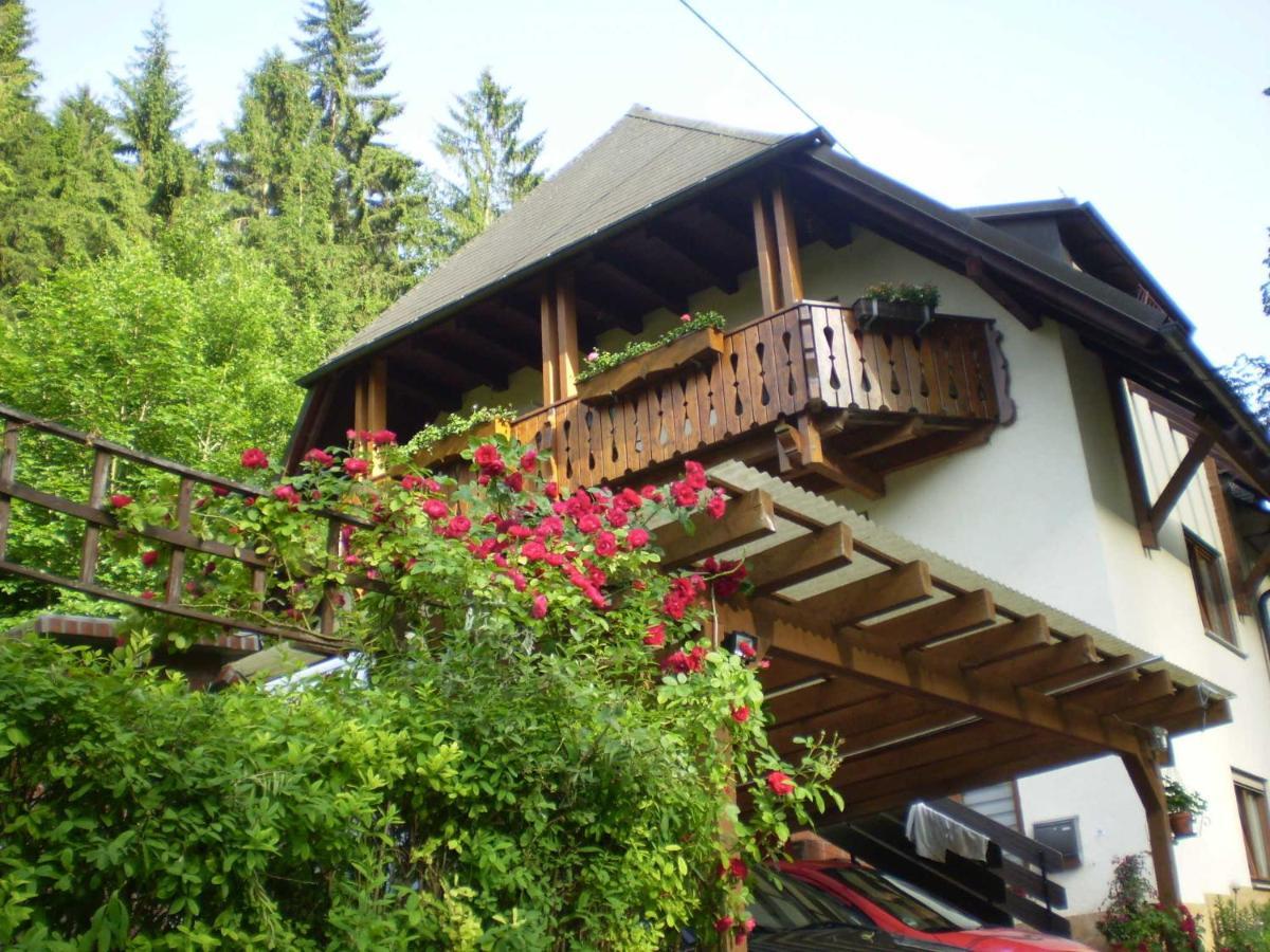Apartamento Haus Am Bach Friburgo de Brisgovia Exterior foto